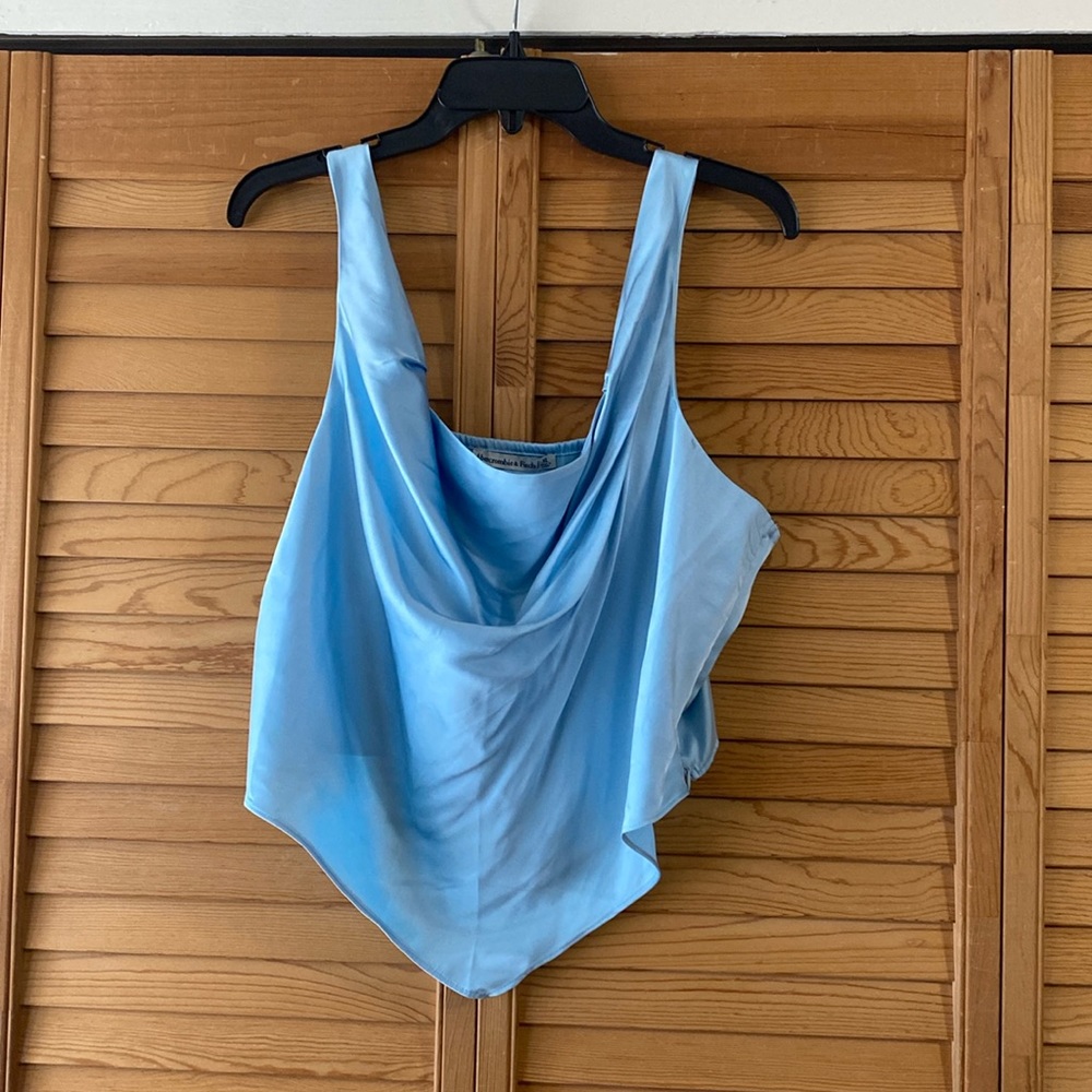 NTW Abercrombie and Fitch Cropped Satin Top